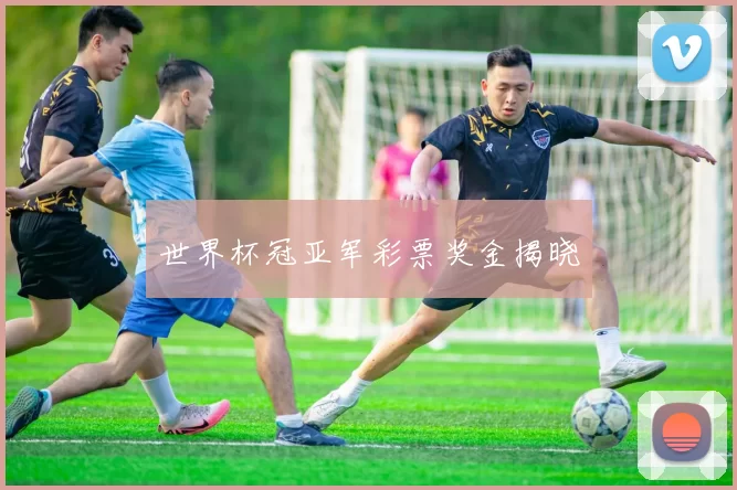 世界杯冠亚军彩票奖金揭晓