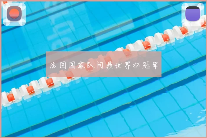 法国国家队问鼎世界杯冠军