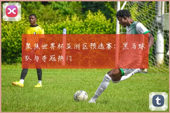 聚焦世界杯亚洲区预选赛：黑马球队与夺冠热门
