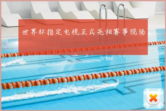 世界杯指定电视正式亮相赛事现场