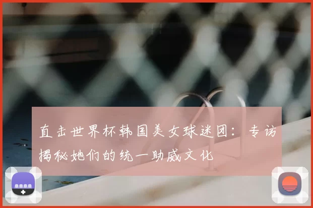 直击世界杯韩国美女球迷团：专访揭秘她们的统一助威文化
