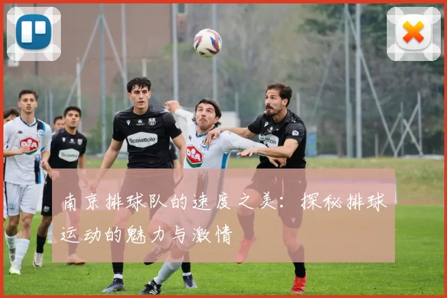 南京排球队的速度之美：探秘排球运动的魅力与激情