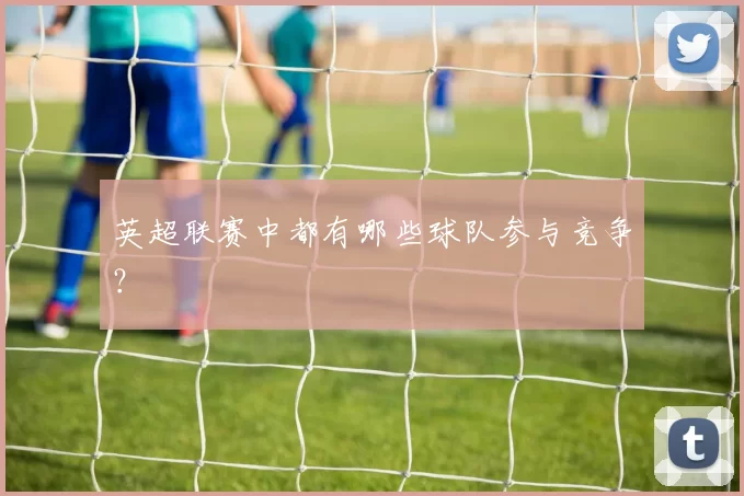 英超联赛中都有哪些球队参与竞争？