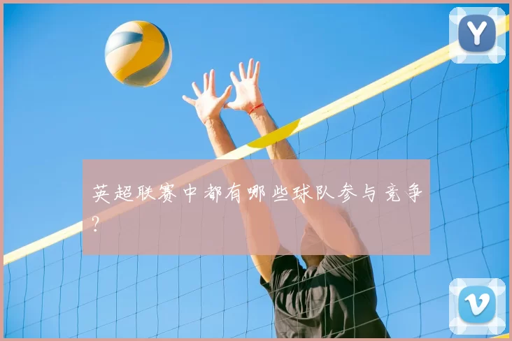 英超联赛中都有哪些球队参与竞争？