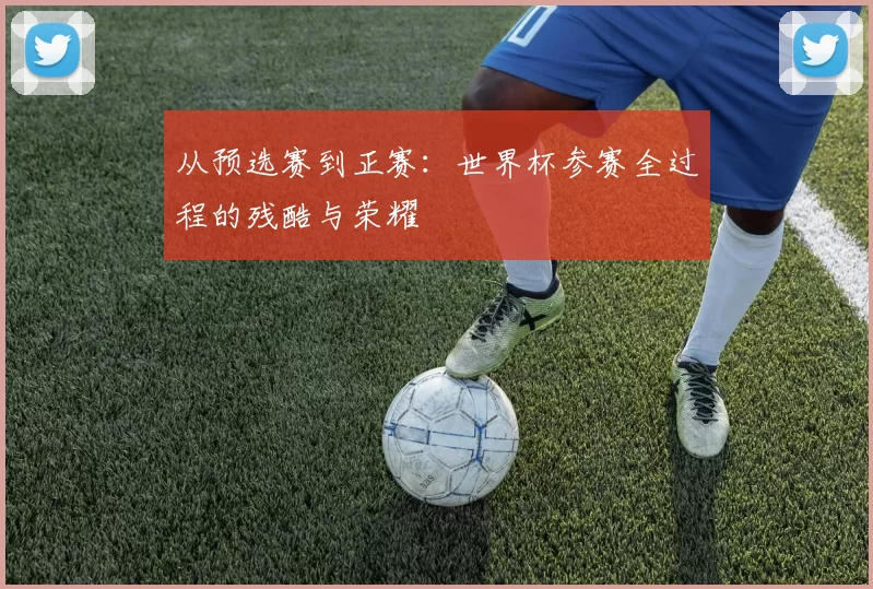从预选赛到正赛：世界杯参赛全过程的残酷与荣耀