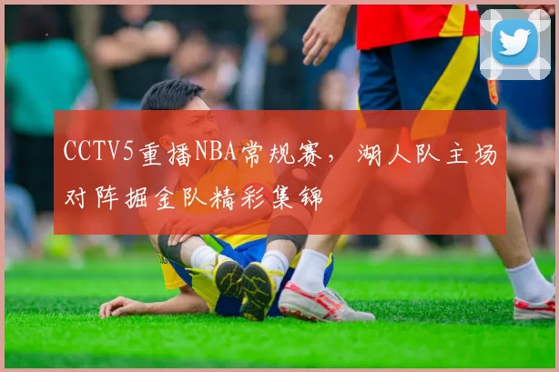 CCTV5重播NBA常规赛，湖人队主场对阵掘金队精彩集锦