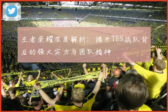 王者荣耀深度解析：揭开TES战队背后的强大实力与团队精神