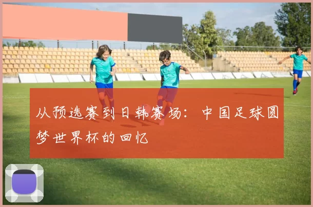 从预选赛到日韩赛场:中国足球圆梦世界杯的回忆