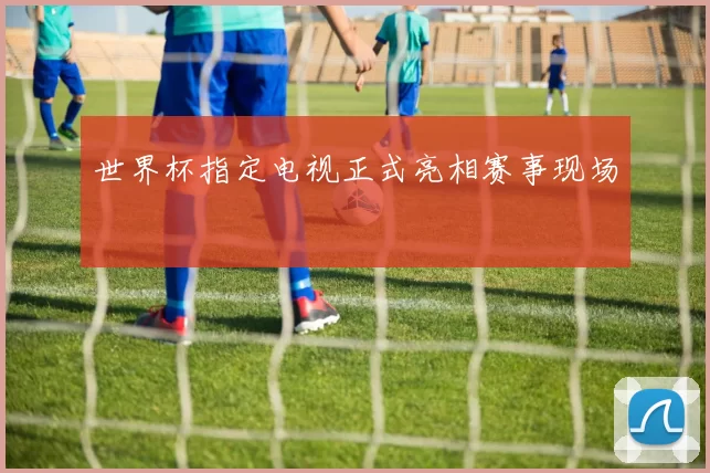 世界杯指定电视正式亮相赛事现场