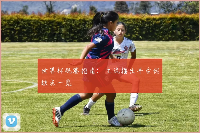 世界杯观赛指南:主流播出平台优缺点一览